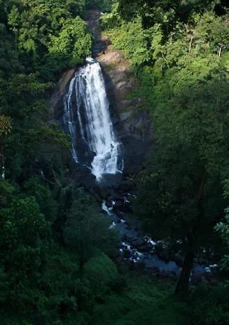 Aruvi Resort Munnar