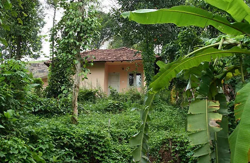 Aruvi Resort Munnar India