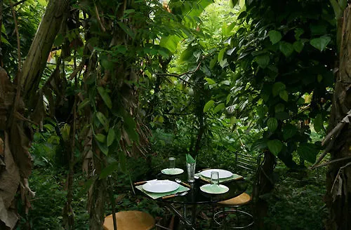 ***  Aruvi Resort Munnar India