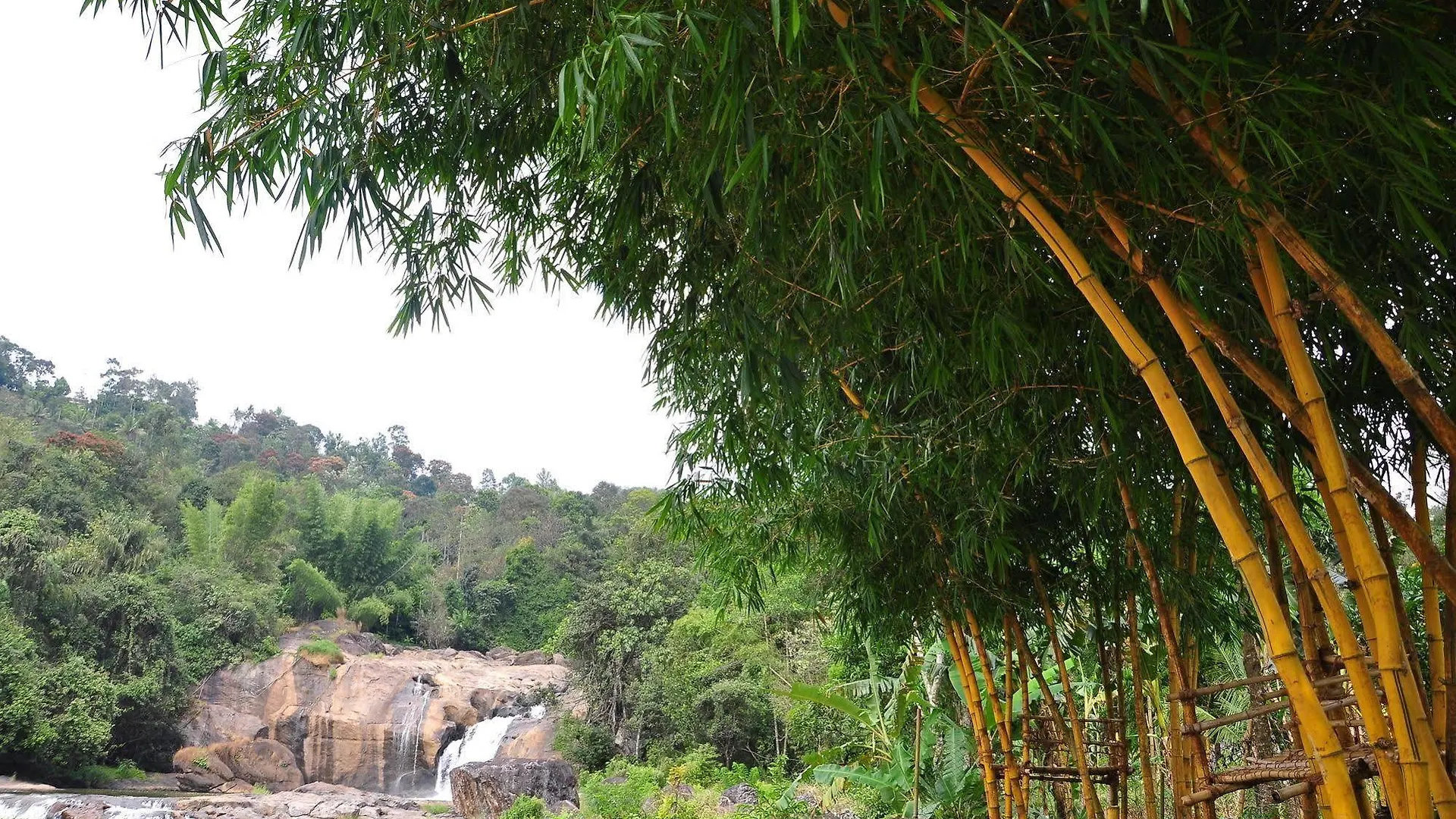 Aruvi Resort Munnar